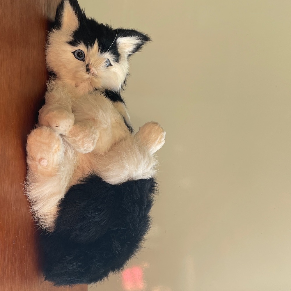 Black and White faux cat